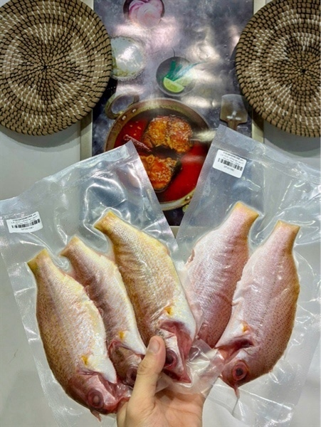 CÁ RÓC VÀNG làm sạch