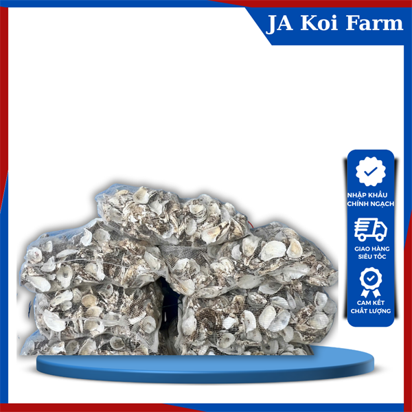 Vỏ Hàu ion - 10kg