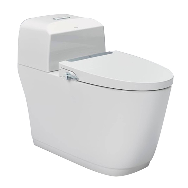 Bồn Cầu INAX & Nắp rửa cơ AC-1032+CW-S32VN/BW1