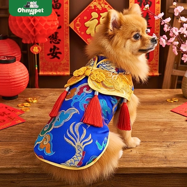 Áo Kim chi Ngọc Diệp