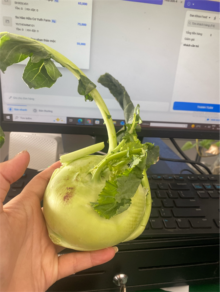 Su Hào Xanh Đà Lạt Vietgap