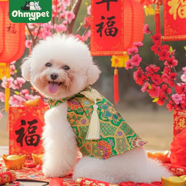 Áo Gấm Hồ Điệp