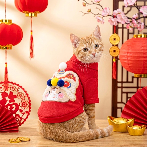 Áo Mã đáo Thành công