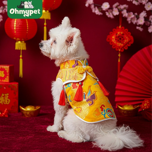 Áo Kim chi Ngọc Diệp