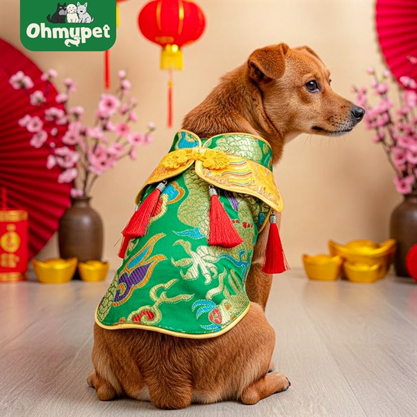 Áo Kim chi Ngọc Diệp