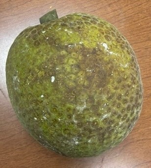 Sa Kê