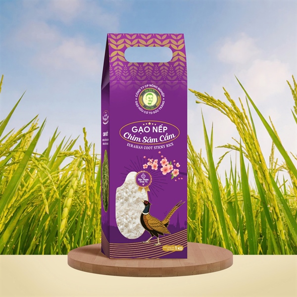 NẾP CHIM SÂM CẦM 1KG (hộp)