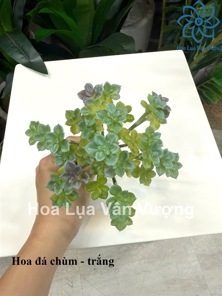 Hoa đá chùm - Hoa đá - Hoa Lụa Vân Vượng