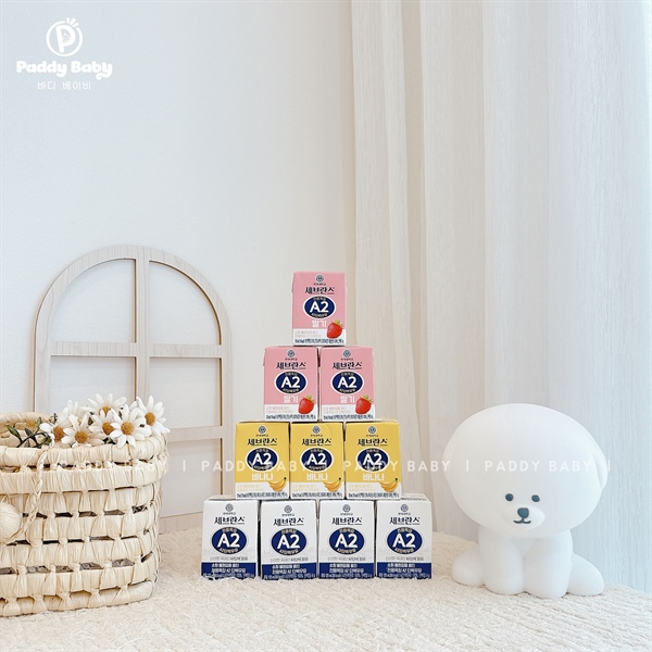 Sữa tươi nguyên chất 100% đạm A2 Yonsei cho bé từ 1 tuổi