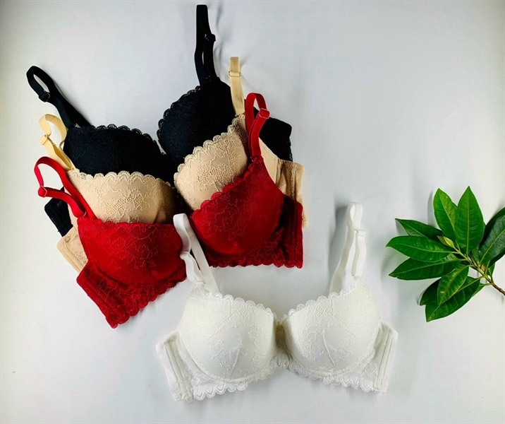 Áo ngực nữ SON'WM ren mút dày AN019