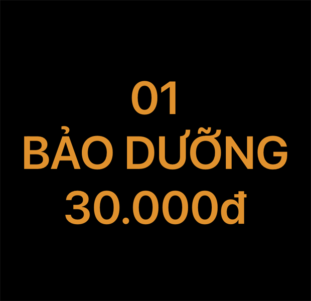 Bảo dưỡng Dat Bike 30.000đ