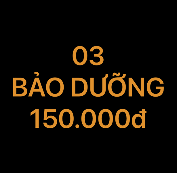 Bảo dưỡng Dat Bike 150K