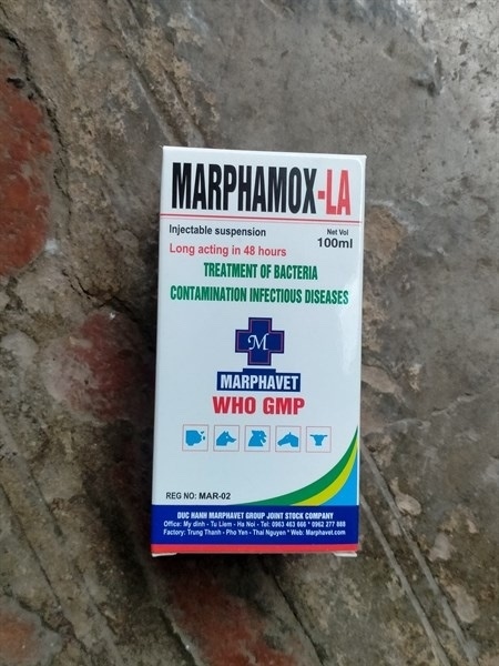 Marphamox la 100ml