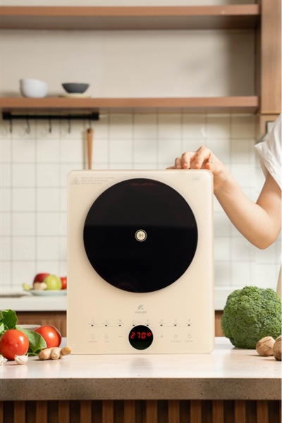 Bếp Từ Kailer (6c/t) KL-1102