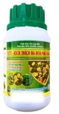 KÍCH HOA MAI VÀNG 100G