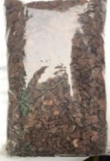 GỖ THÔNG SIZE NHỎ
