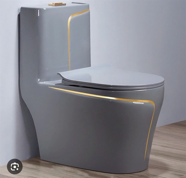 BỒN CẦU LIÊN KHỐI EVE-B04