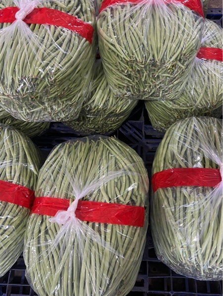 Đậu CoVe Đà Lạt