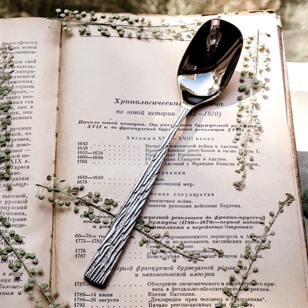 S155 - O428 Set 6 Thìa Tráng Miệng Sylva SPoon OYT-AL428S [T80]