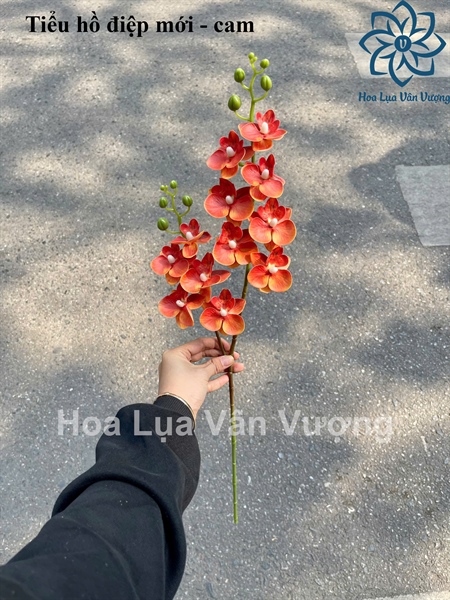Tiểu hồ điệp mới - cam - Hồ điệp, lan - Hoa Lụa Vân Vượng