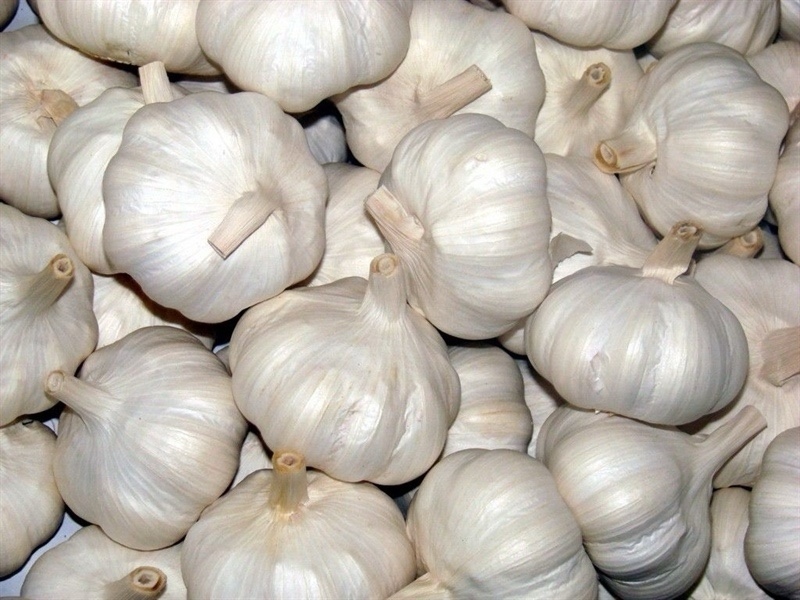 Tỏi Khô