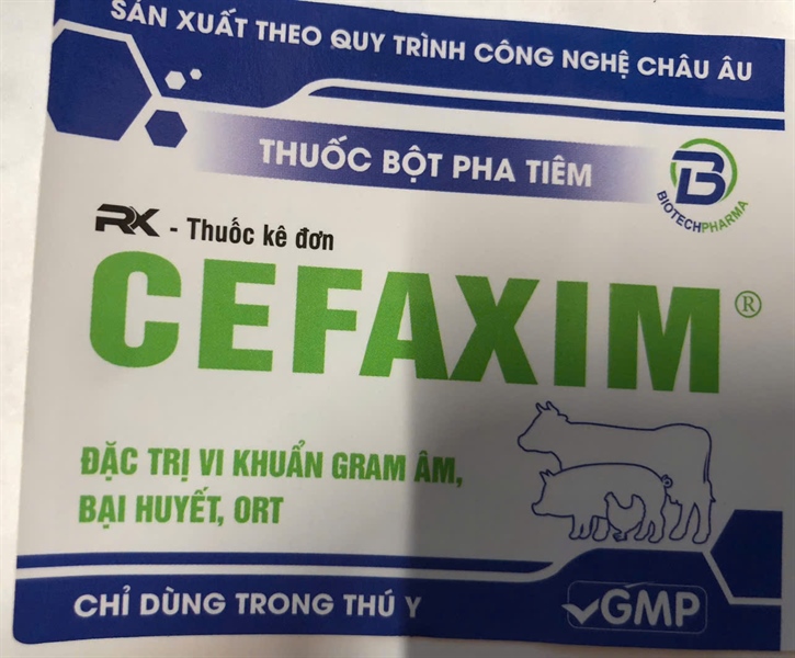VV BIOTECH CEFAXIM (250ml)