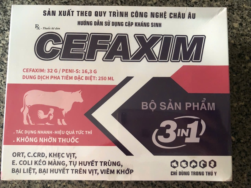 VV CEFAXIM (3 IN 1) 250ml