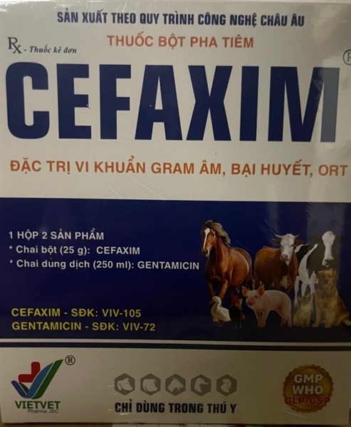 VV CEFAXIM (250ml)
