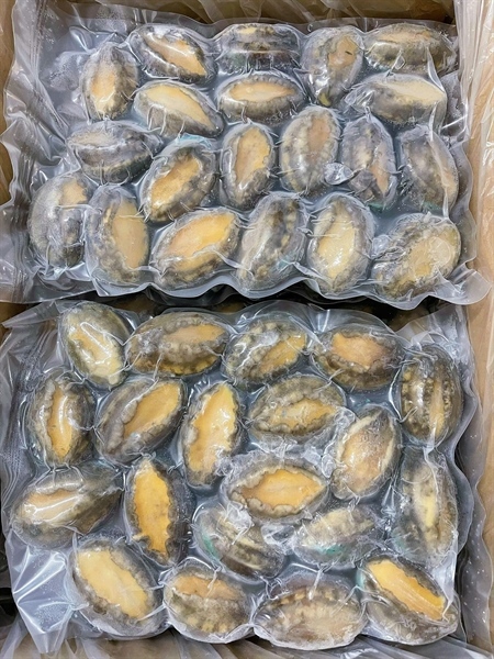 Bào ngư 20 Net 6