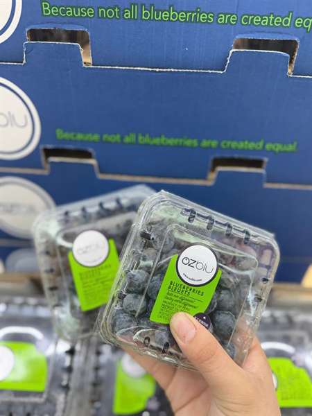 Việt quất hộp 125GR