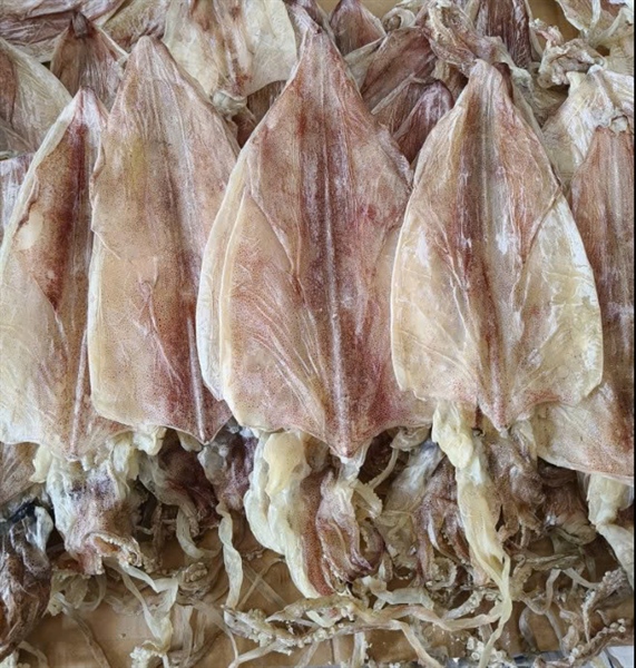 Mực khô size 25-30 con /kg