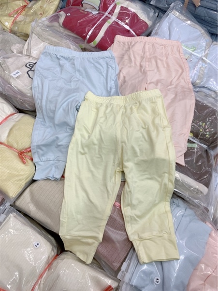 Set 3c quần ss màu