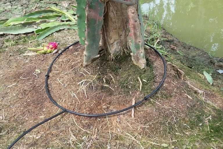 Dây nhỏ giọt tròn 8mm bù áp khoảng cách 30cm