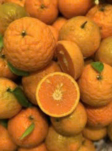 Cam mật Hàm Yên - Orange