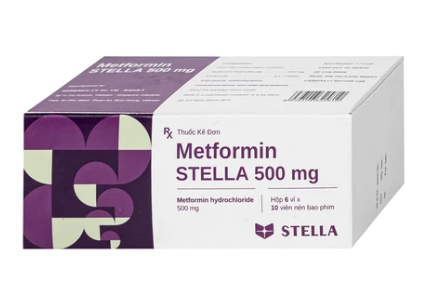 Metformin Stella 500mg (Hộp 6 vỉ x 10 viên, Kiện 120H) - Stella