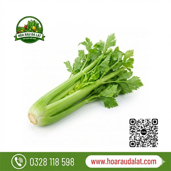 Rau cần tây