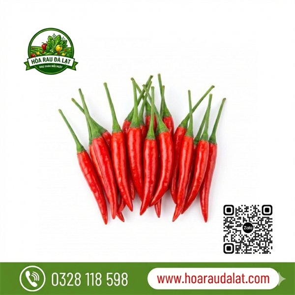 Ớt Kim Đỏ