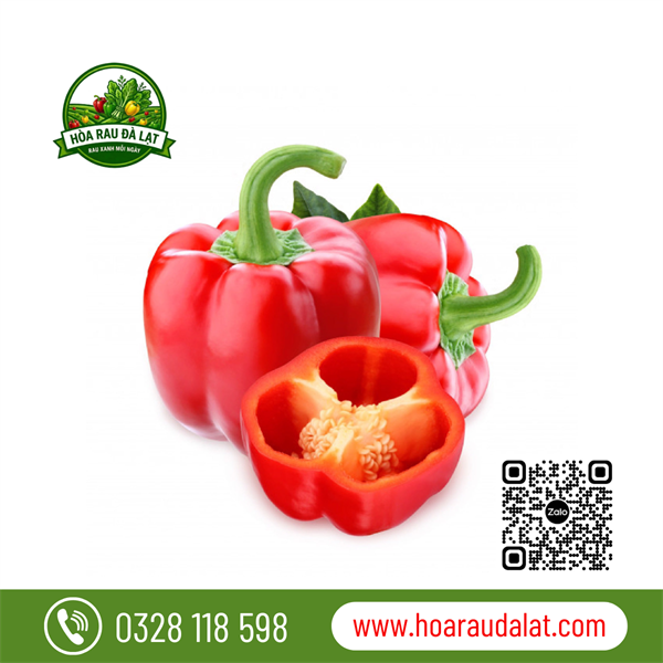 Ớt Chuông Đỏ Đà Lạt