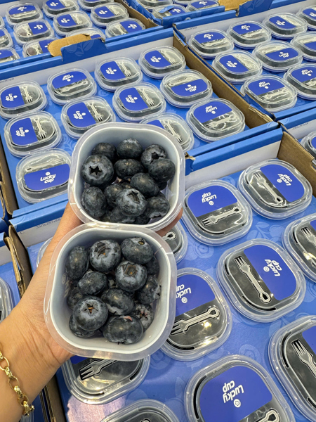 Việt Quất Cup 60Gr