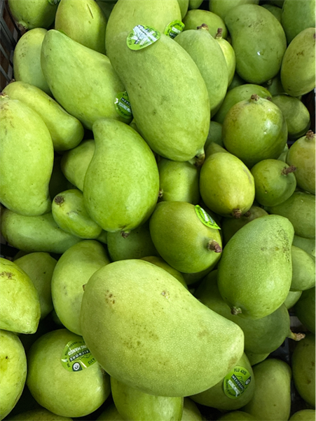 Xoài Non Bao Tử
