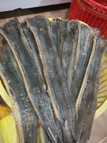 Cá Chình phơi khô dẻo