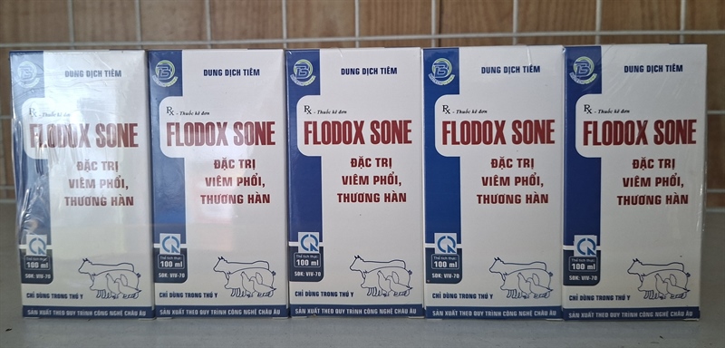 VV FLODOX SONE (100ml)