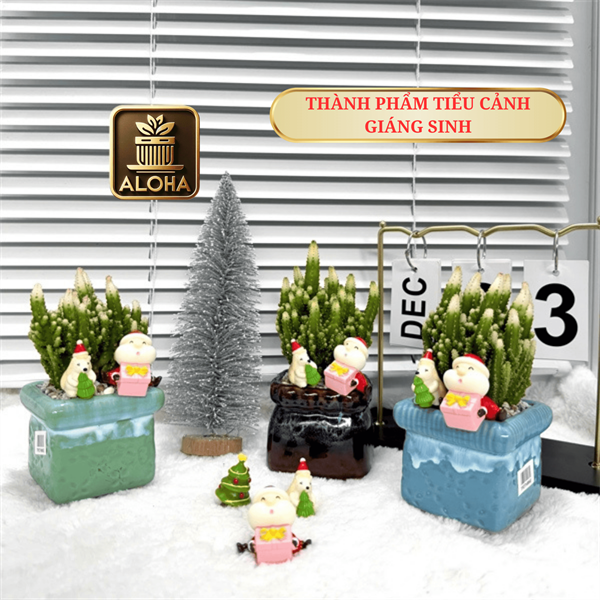 THÀNH PHẨM TIỂU CẢNH GIÁNG SINH