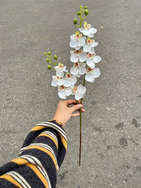 Tiểu hồ điệp mới - trắng - Hồ điệp, lan - Hoa Lụa Vân Vượng