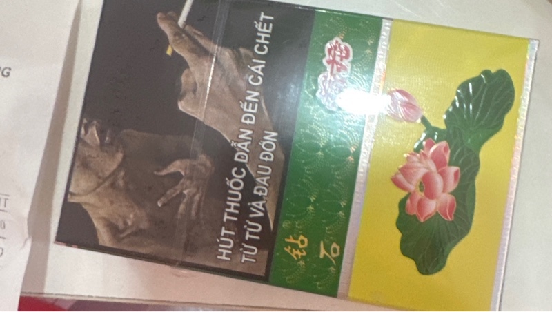 越南荷花粗支thuốc lá hehua