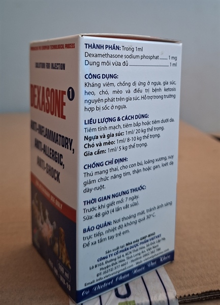 VV DEXASONE (100ml)