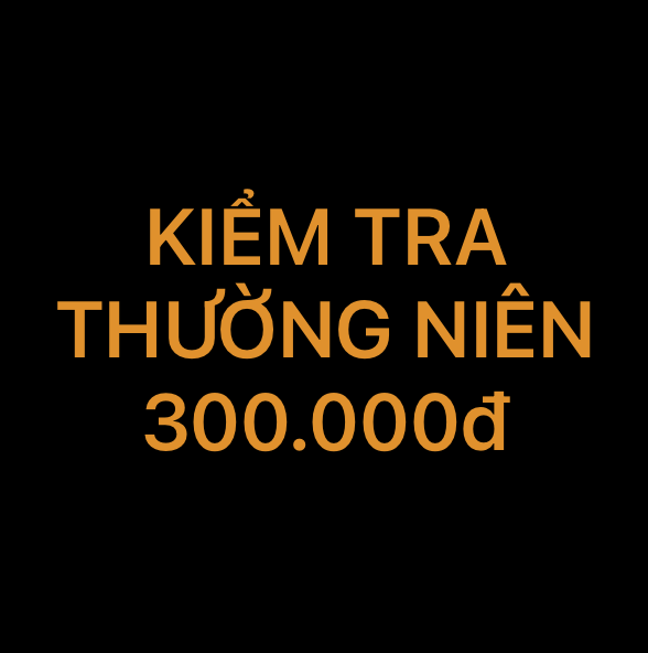 Kiểm tra xe thường niên 300.000đ