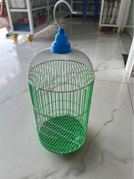 Lồng cu màu