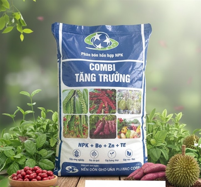 COMBI TĂNG TRƯỞNG (HH - Bao 25kg)