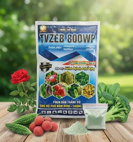 Thuốc trừ bệnh TVZEB 800WP (1KG) (300 Lít)